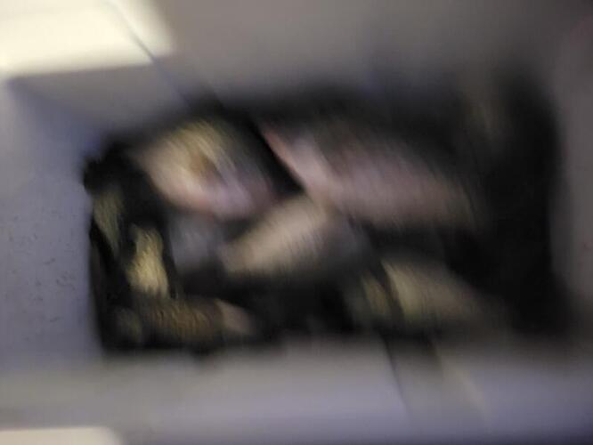 20251231_174124.jpg