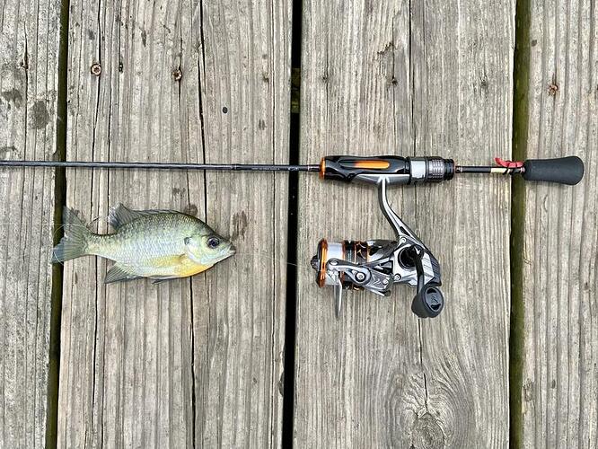 Daiwa Iprimi Quickie - Panfish, Bream, Brim. - Crappie.com