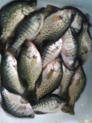 last day ice fishing 318 2019.jpg