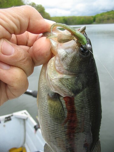 Runcle swimbait
