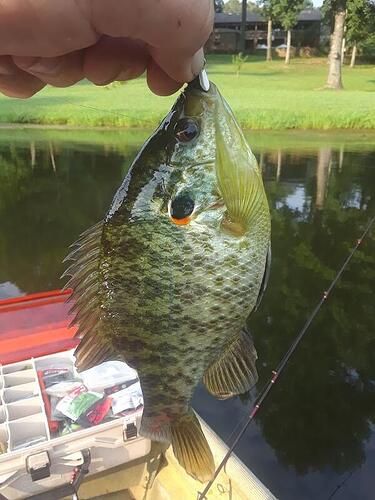 20180724_183351.jpg