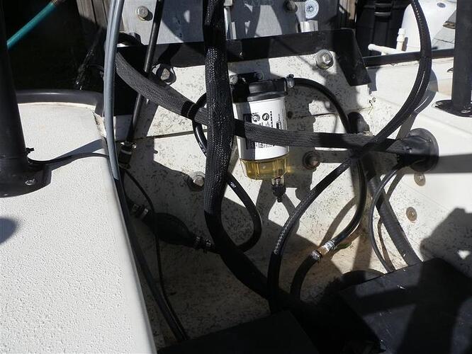 PA290005.jpg