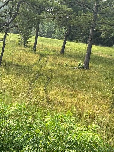 IMG_0720.jpeg