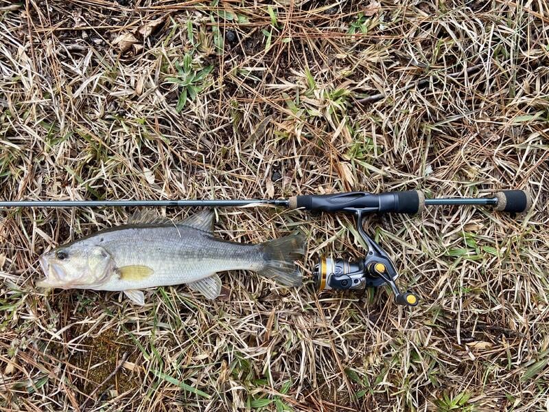 best fishing pole for trout fishing Best Ultralight Fishing Rods