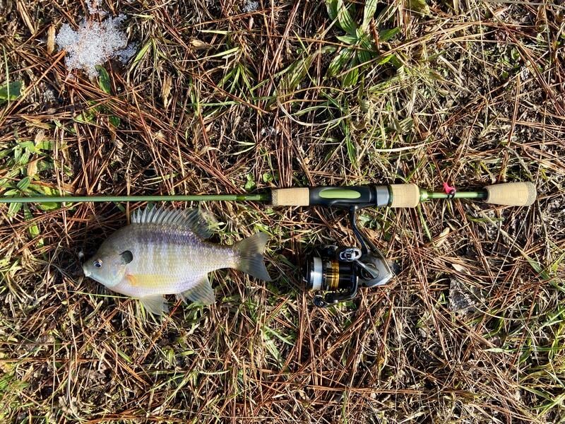 brim fishing poles forum 6' TFO Pastime T&P vs TFO T&P II - Panfish, Bream, Brim
