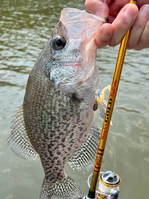 crappie fishing with a jig pole Buck's Gold Jig Pole Review - Main Crappie Fishing Forum