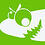 green_shiner